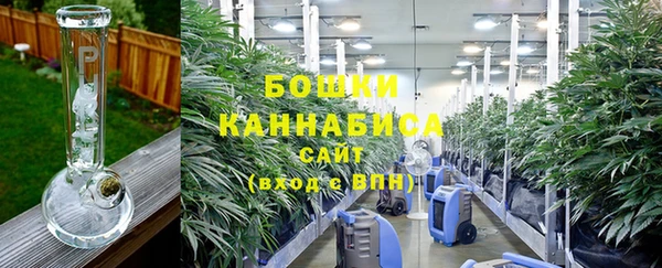 PSILOCYBIN Вяземский