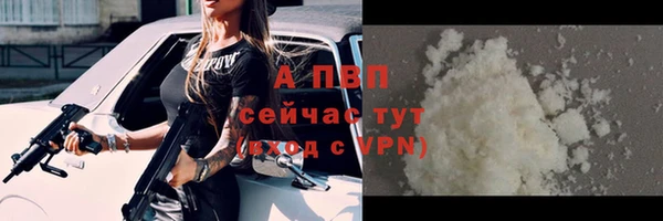 PSILOCYBIN Вяземский
