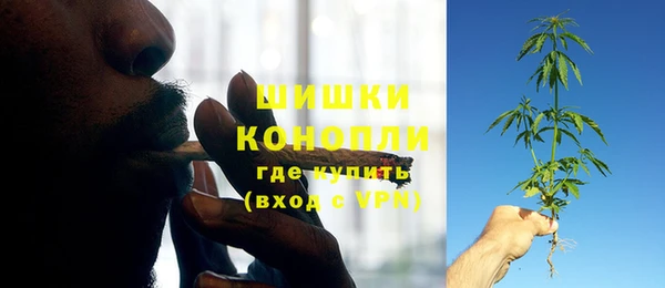 PSILOCYBIN Вяземский