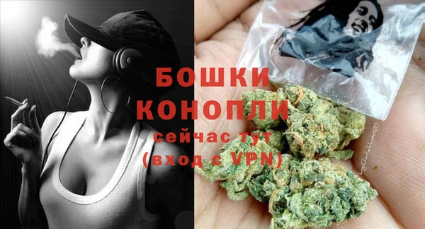 PSILOCYBIN Вяземский