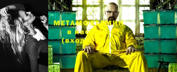 PSILOCYBIN Вяземский