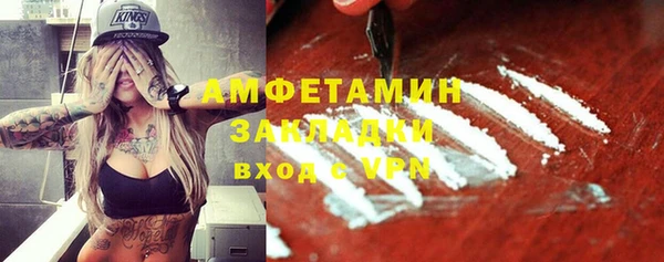 PSILOCYBIN Вяземский