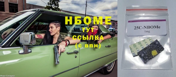 PSILOCYBIN Вяземский