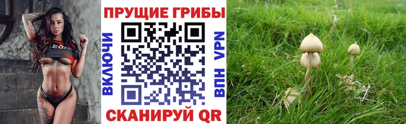 наркошоп Эртиль Галлюциногенные грибы GOLDEN TEACHER