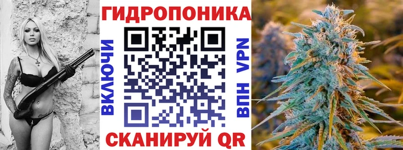 Бошки Шишки Amnesia Эртиль